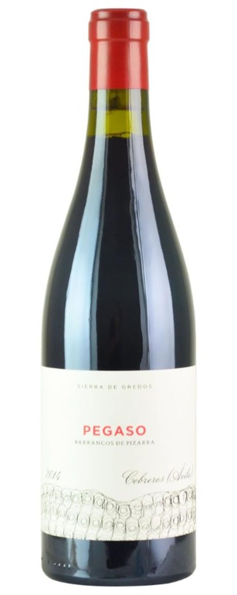 2014 Telmo Rodriguez Pegaso Pizarra