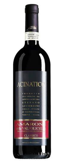 2019 Stefano Accordini Amarone della Valpolicella Acinatico