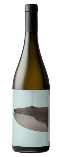 2024 Noelia Ricci Bro Forli Bianco