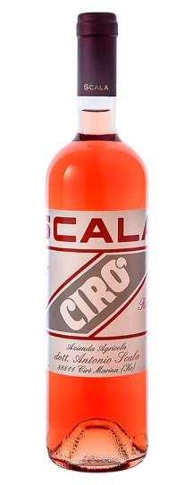 2025 Scala Rosato Ciro