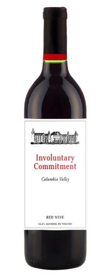 2022 Andrew Will Involuntary Commitment