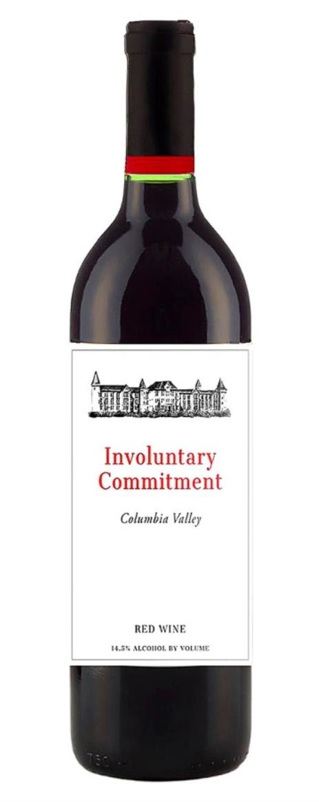 2022 Andrew Will Involuntary Commitment